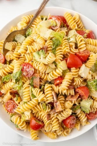 Creamy BLT Pasta Salad Recipe • MidgetMomma