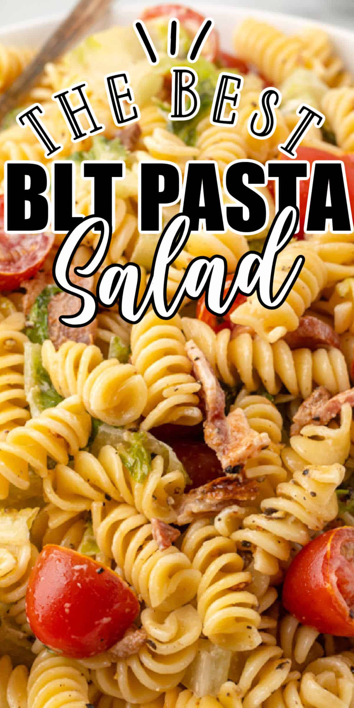 Creamy BLT Pasta Salad Recipe • MidgetMomma