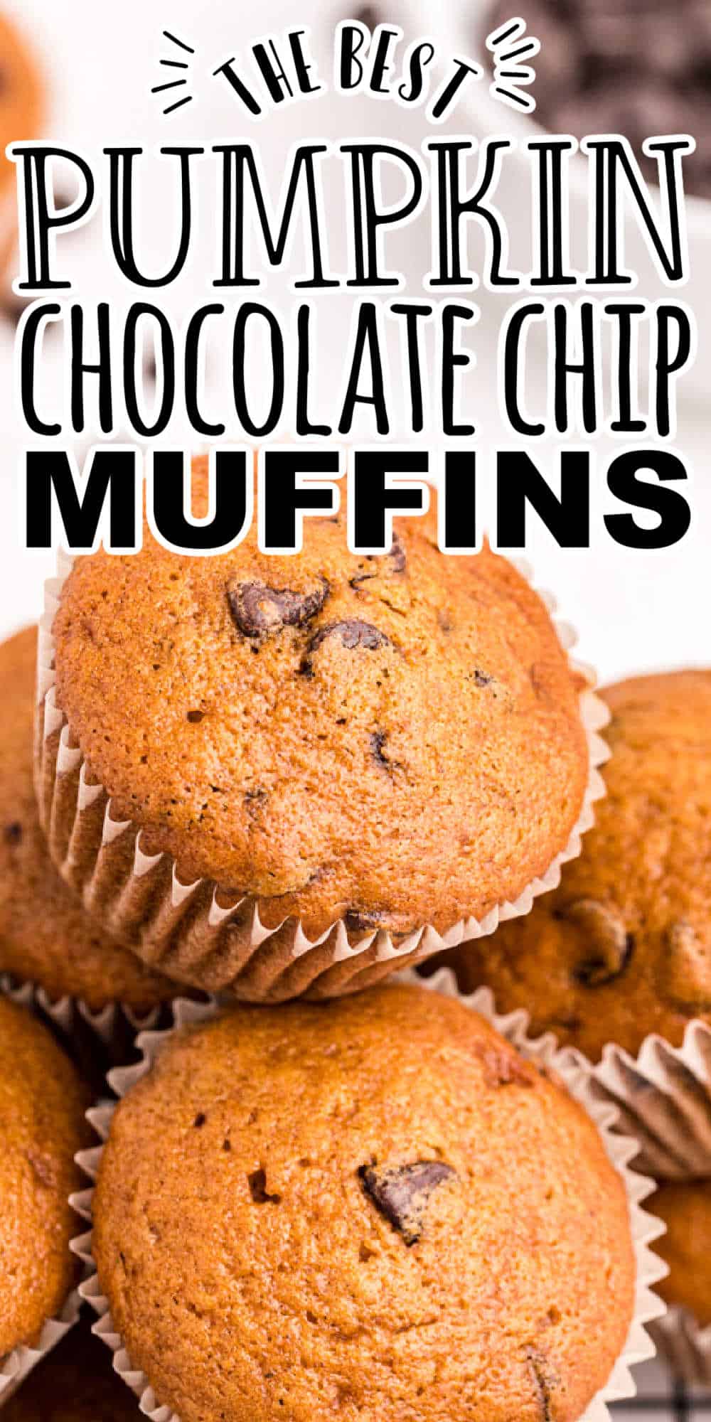 Pumpkin Chocolate Chip Muffins • MidgetMomma