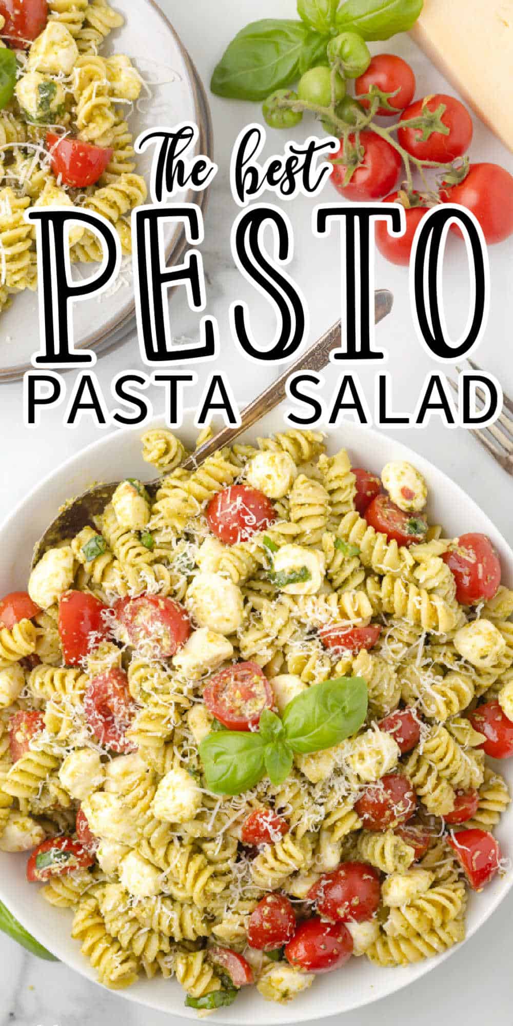 Pesto Pasta Salad Recipe With Tomatoes And Mozzarella Cheese Balls