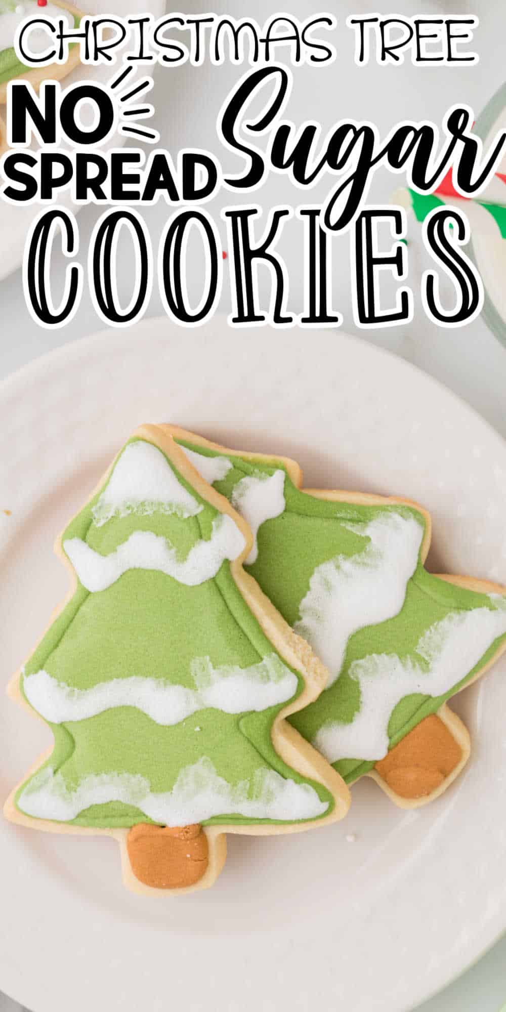 Christmas Tree Sugar Cookies • MidgetMomma