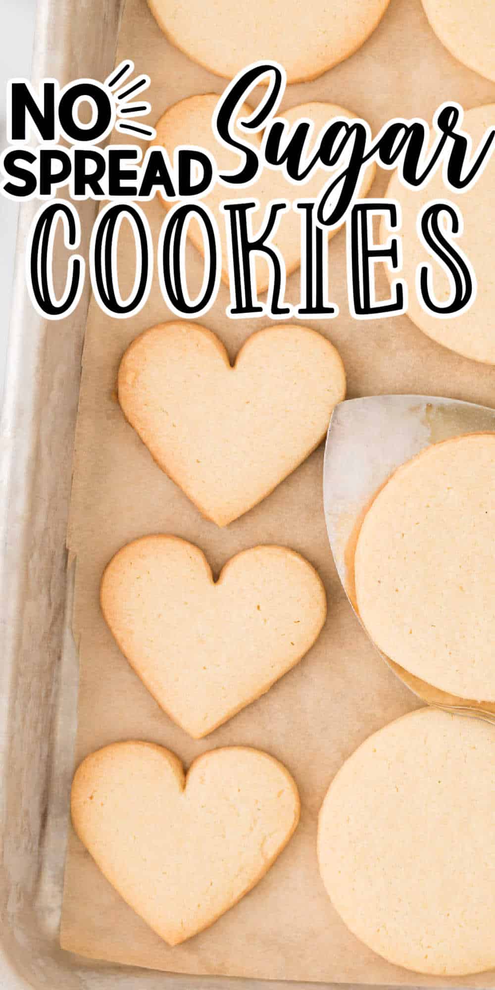 homemade-sugar-cookies-no-spread-sugar-cookie-dough