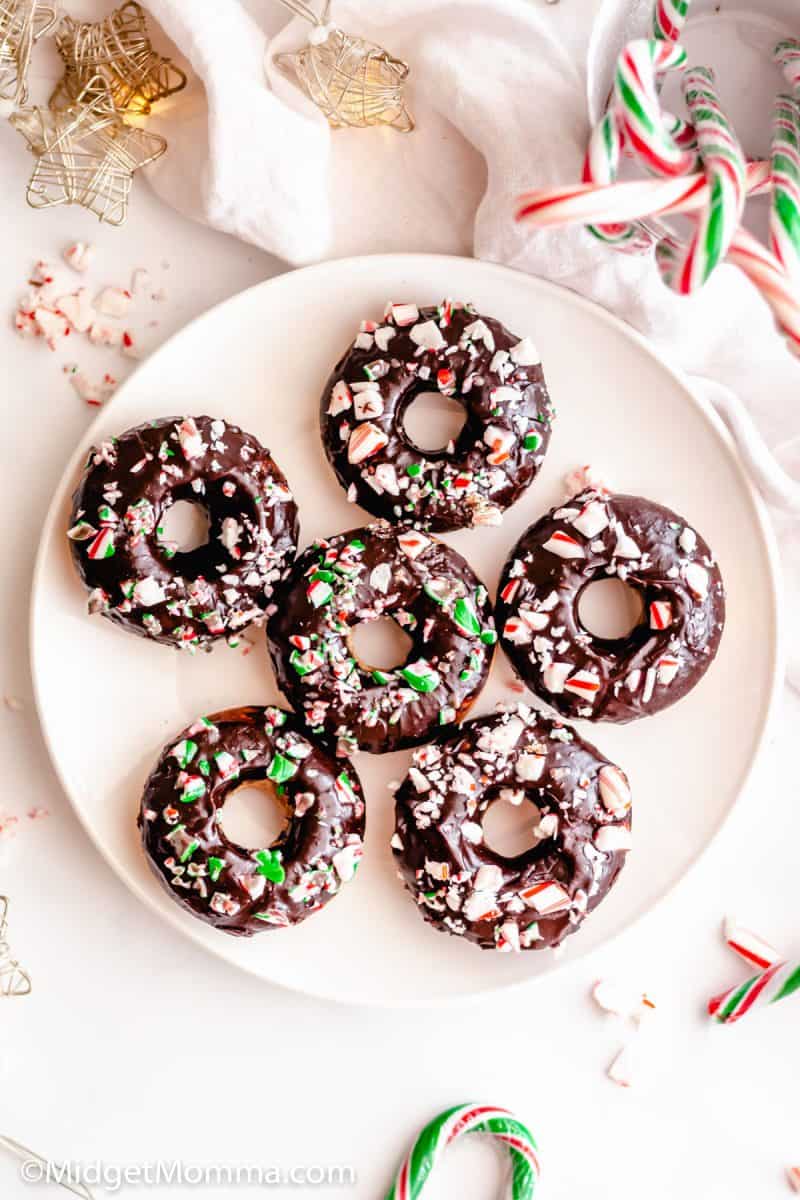 Chocolate Frosted Baked Cake Donuts • MidgetMomma