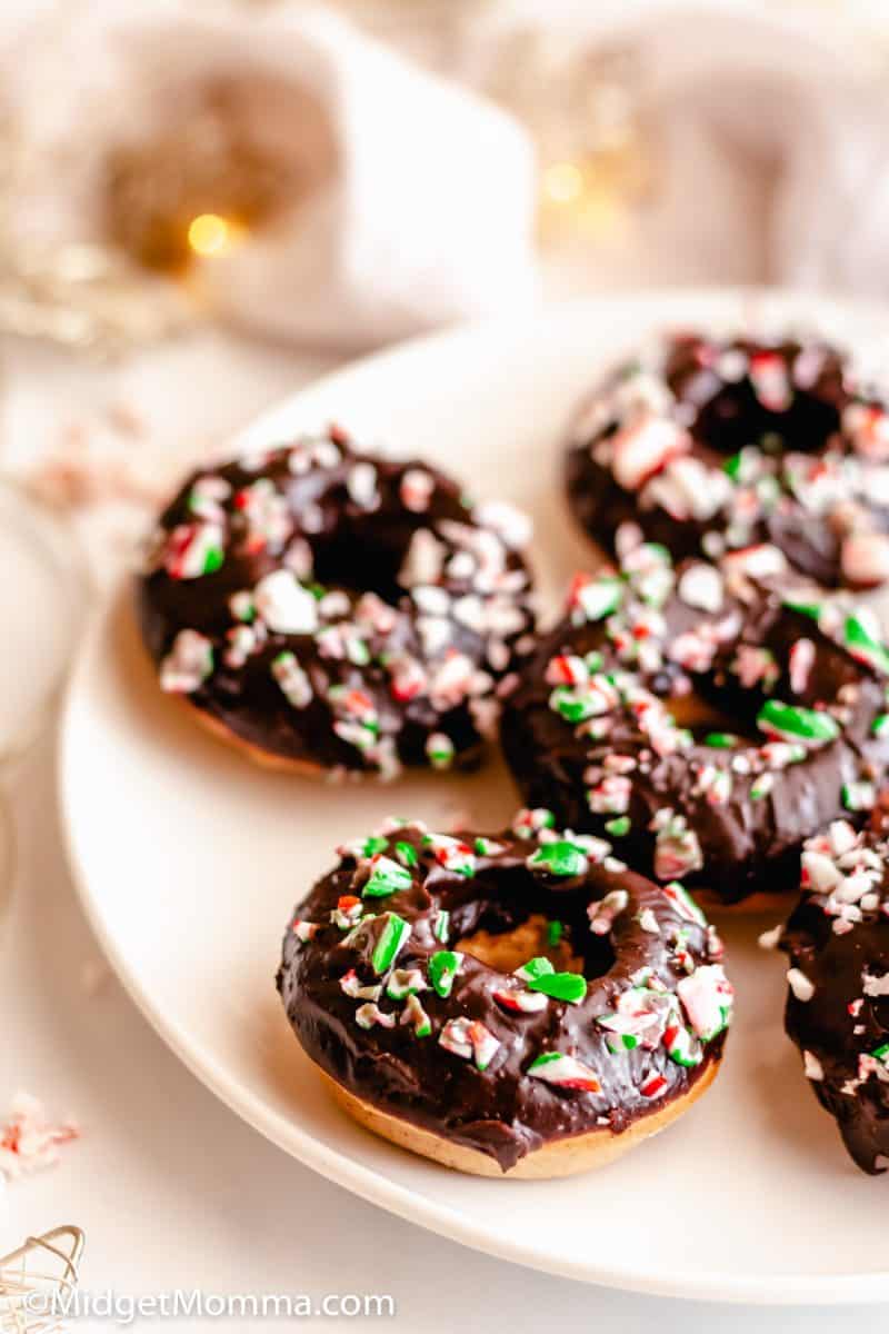 Chocolate Frosted Baked Cake Donuts • Midgetmomma