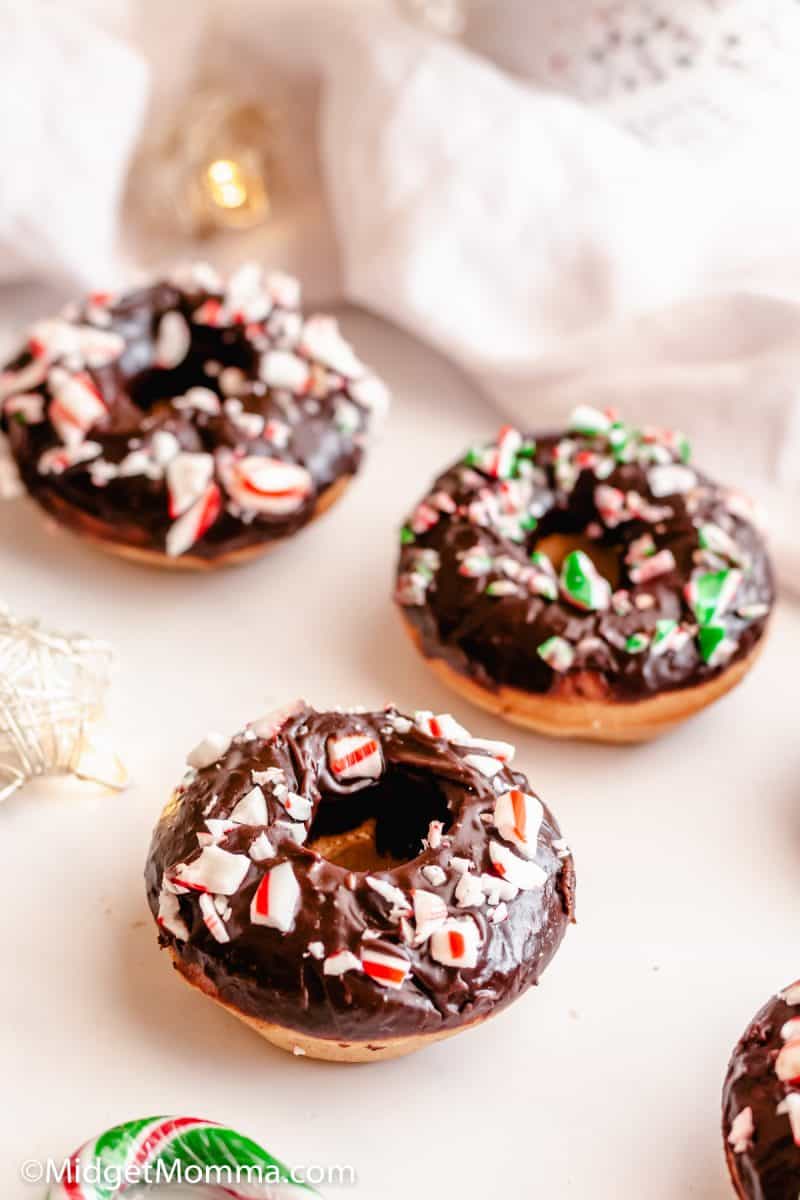 Chocolate Frosted Baked Cake Donuts • MidgetMomma