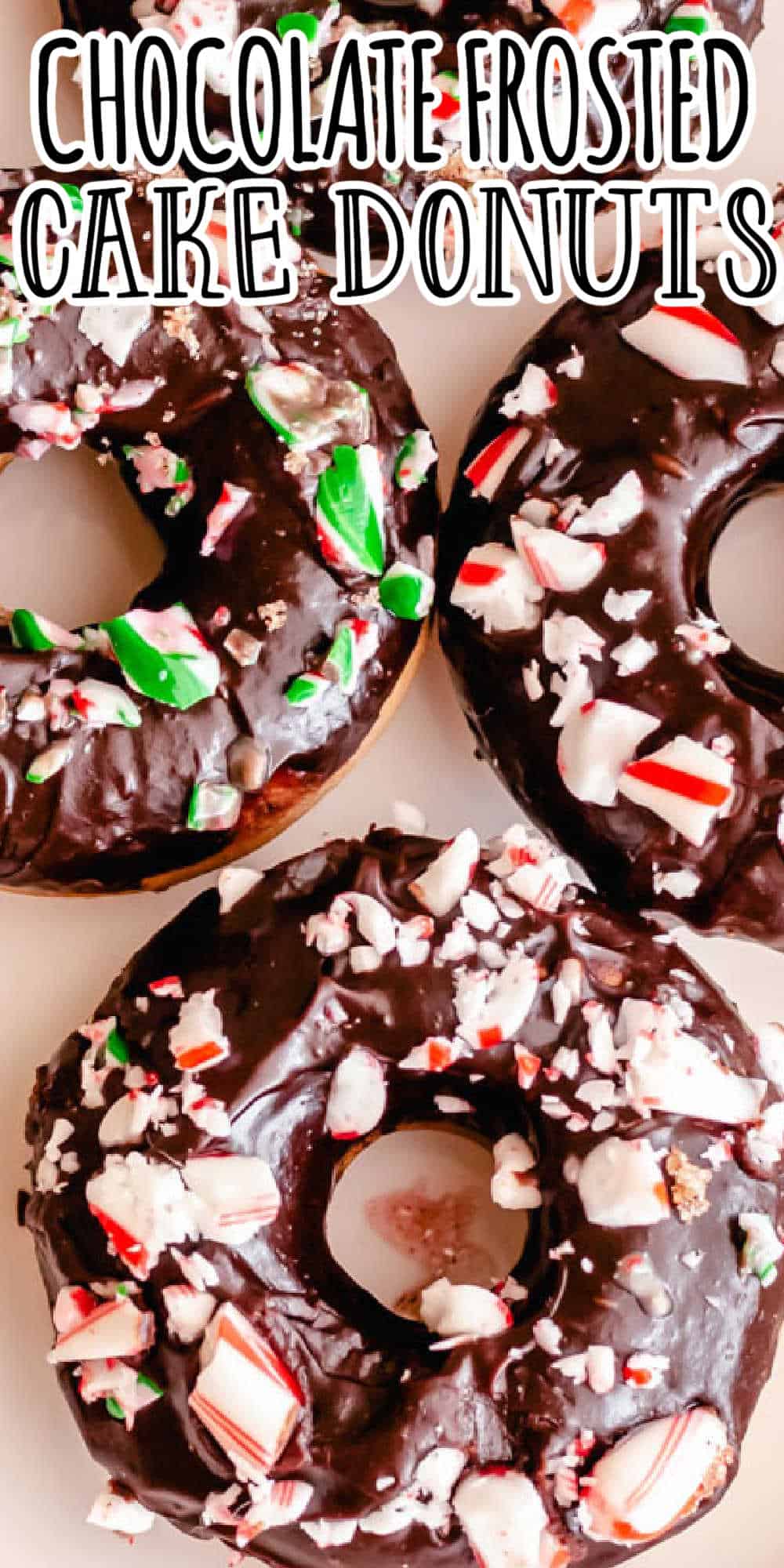 Chocolate Frosted Baked Cake Donuts • MidgetMomma