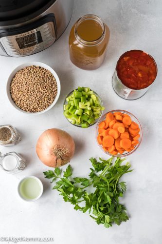 Instant Pot Lentil Soup • MidgetMomma