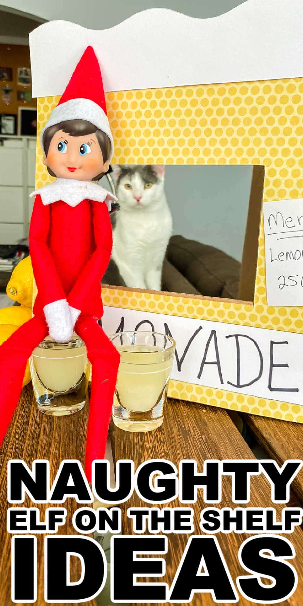 23-naughty-elf-on-the-shelf-ideas-naughty-elf-antics-midgetmomma