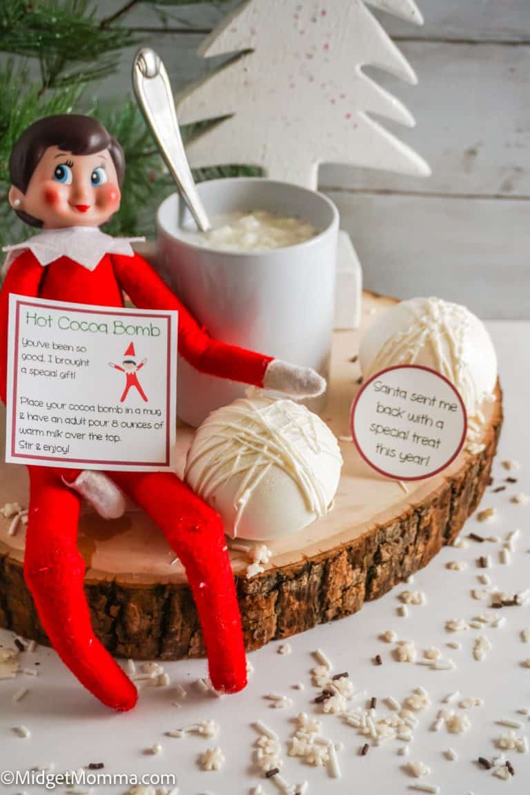 Snowball Hot Cocoa Bombs + Printable Instruction Card & Tag!