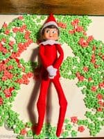 14 Cute Elf on the Shelf Ideas • MidgetMomma