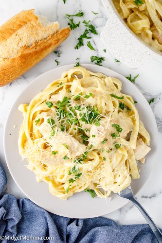 Creamy Chicken Alfredo Pasta Recipe • MidgetMomma