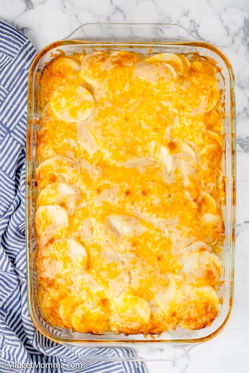 Creamy Scalloped Potatoes with Cheese • MidgetMomma