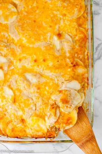 Creamy Scalloped Potatoes with Cheese • MidgetMomma