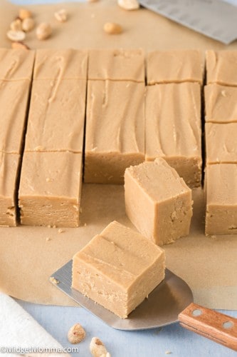 2 Ingredient Peanut Butter Microwave Fudge Recipe