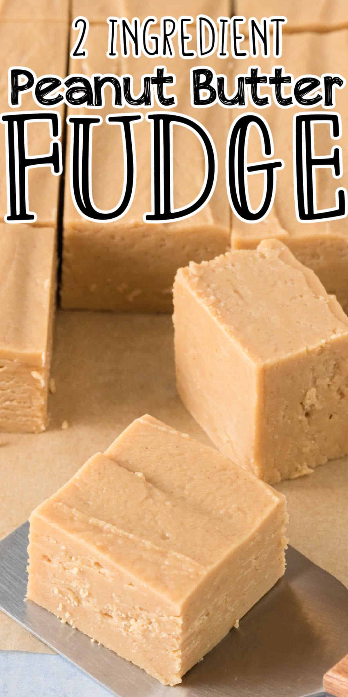 2 Ingredient Peanut Butter Microwave Fudge Recipe