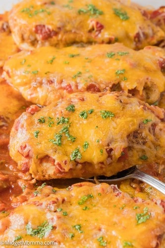 Cheesy Baked Salsa Chicken Recipe • MidgetMomma