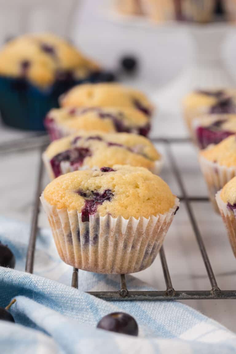 Moist & Delicious The Best Mini Blueberry Muffins Recipe • MidgetMomma