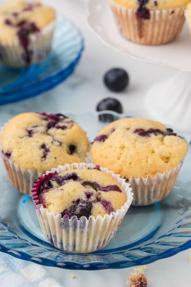 Moist & Delicious The Best Mini Blueberry Muffins Recipe • MidgetMomma