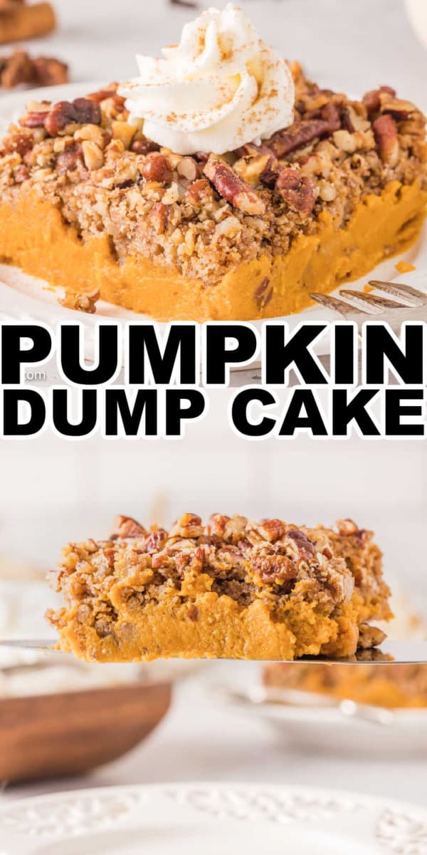 Pumpkin Dump Cake Recipe • MidgetMomma