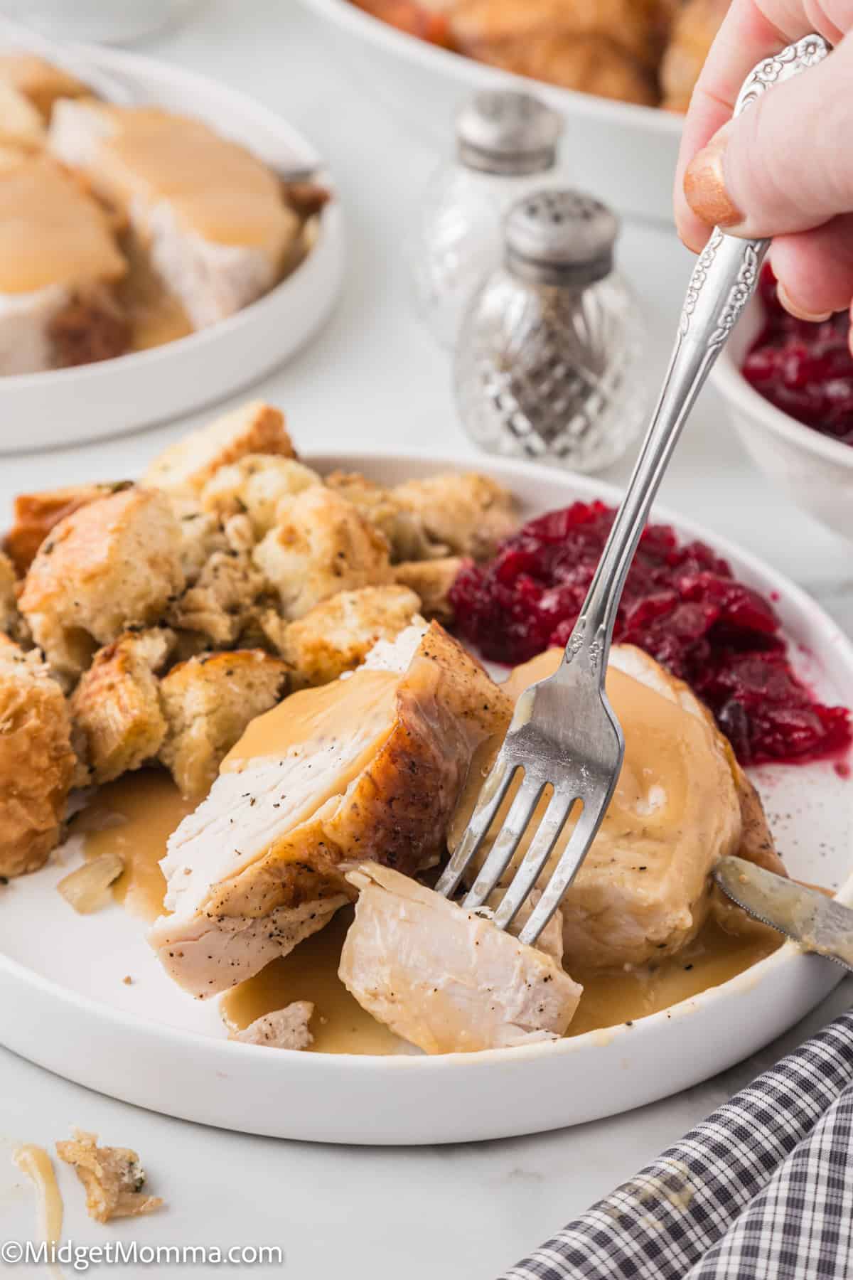 Plate of sliced roasted turkey with gravy, stuffing, and cranberry sauce. A hand holding a fork is about to take a bite. Salt and pepper shakers are in the background.