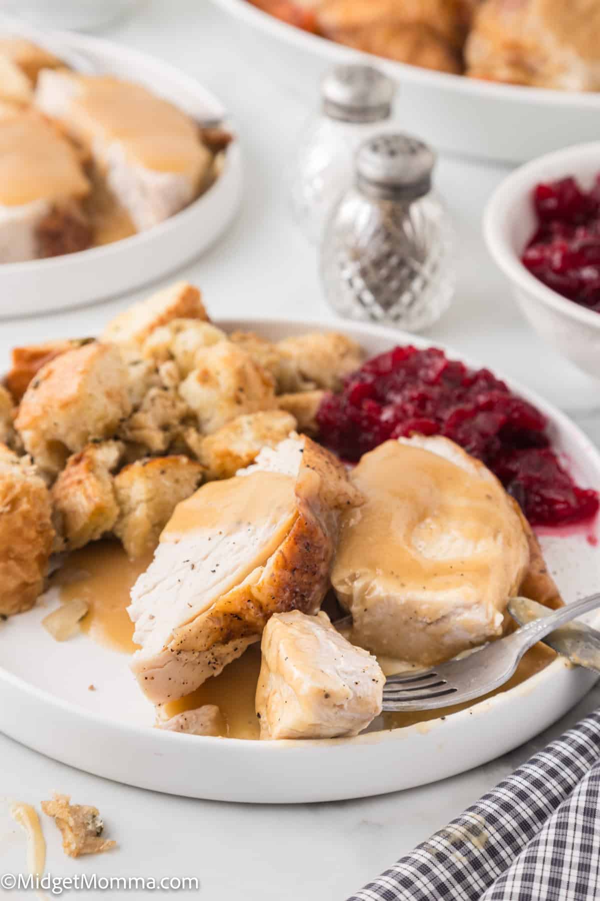 A plate with sliced turkey, stuffing, gravy, and cranberry sauce. Salt and pepper shakers are in the background.