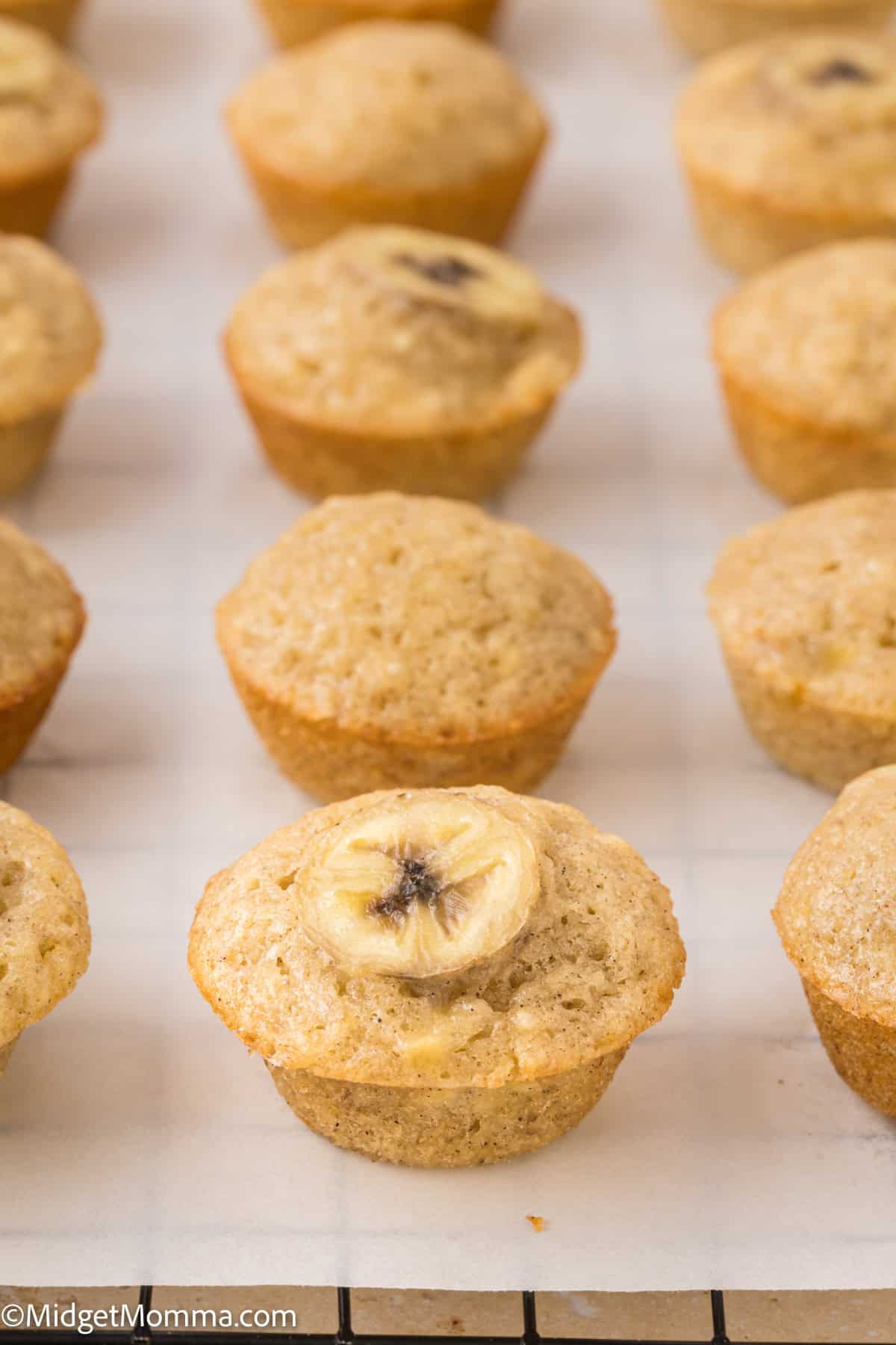 Rows of banana muffins cooling on a wire rack. Each muffin has a slice of banana on top.