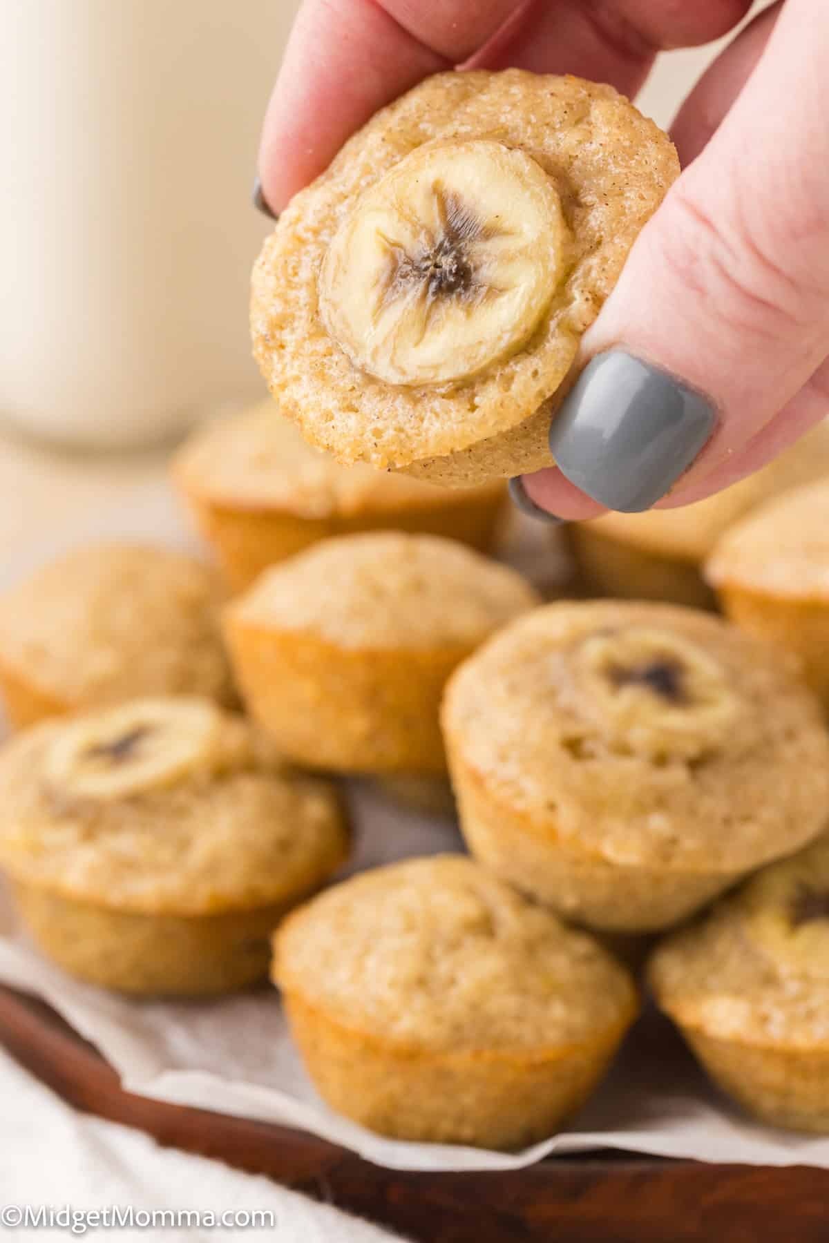 A hand with gray nail polish holding a mini muffin topped with a banana slice over a pile of similar muffins.