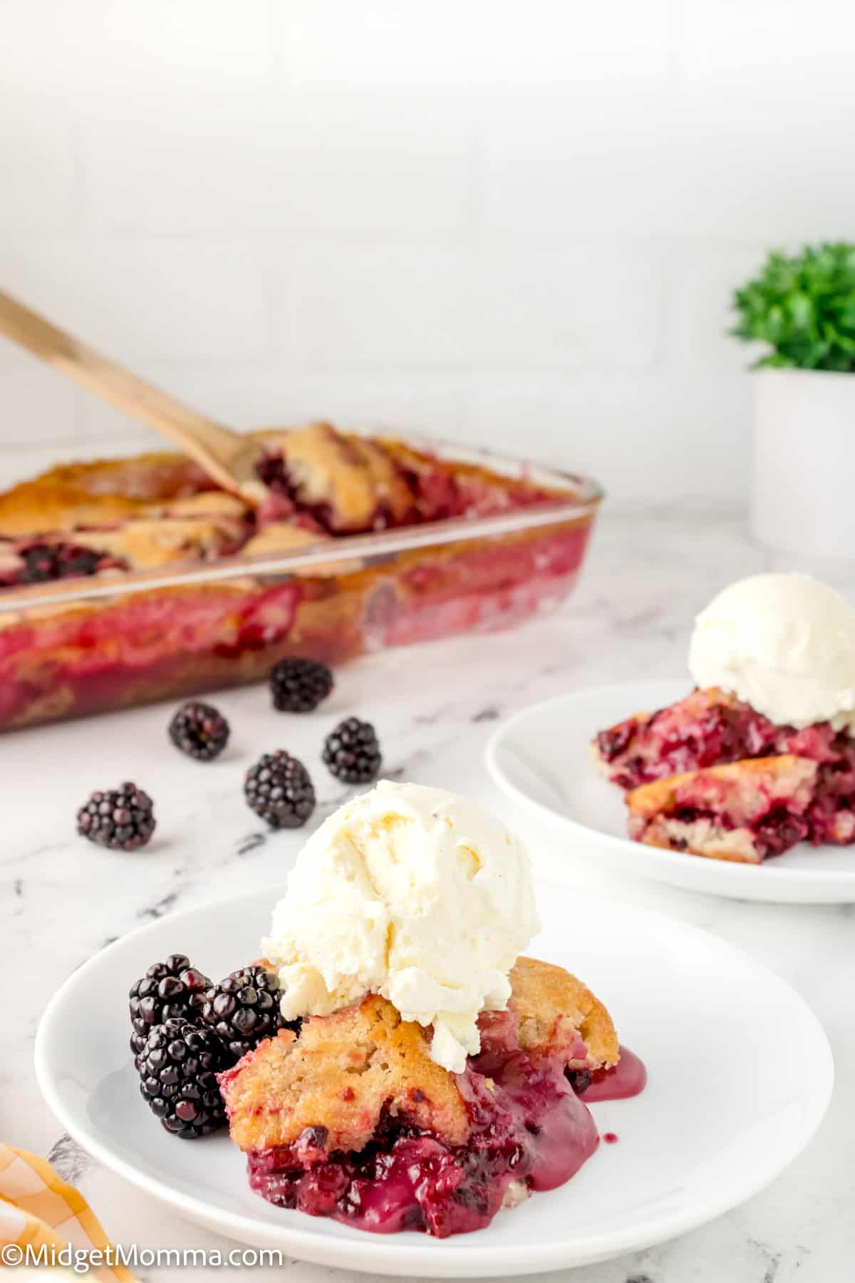 Two plates of berry cobbler topped with vanilla ice cream sit on a marble countertop. A baking dish with additional cobbler is in the background, along with fresh blackberries and a potted plant.