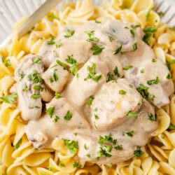 Plate of egg noodles topped with creamy chicken and mushroom sauce, garnished with chopped parsley.