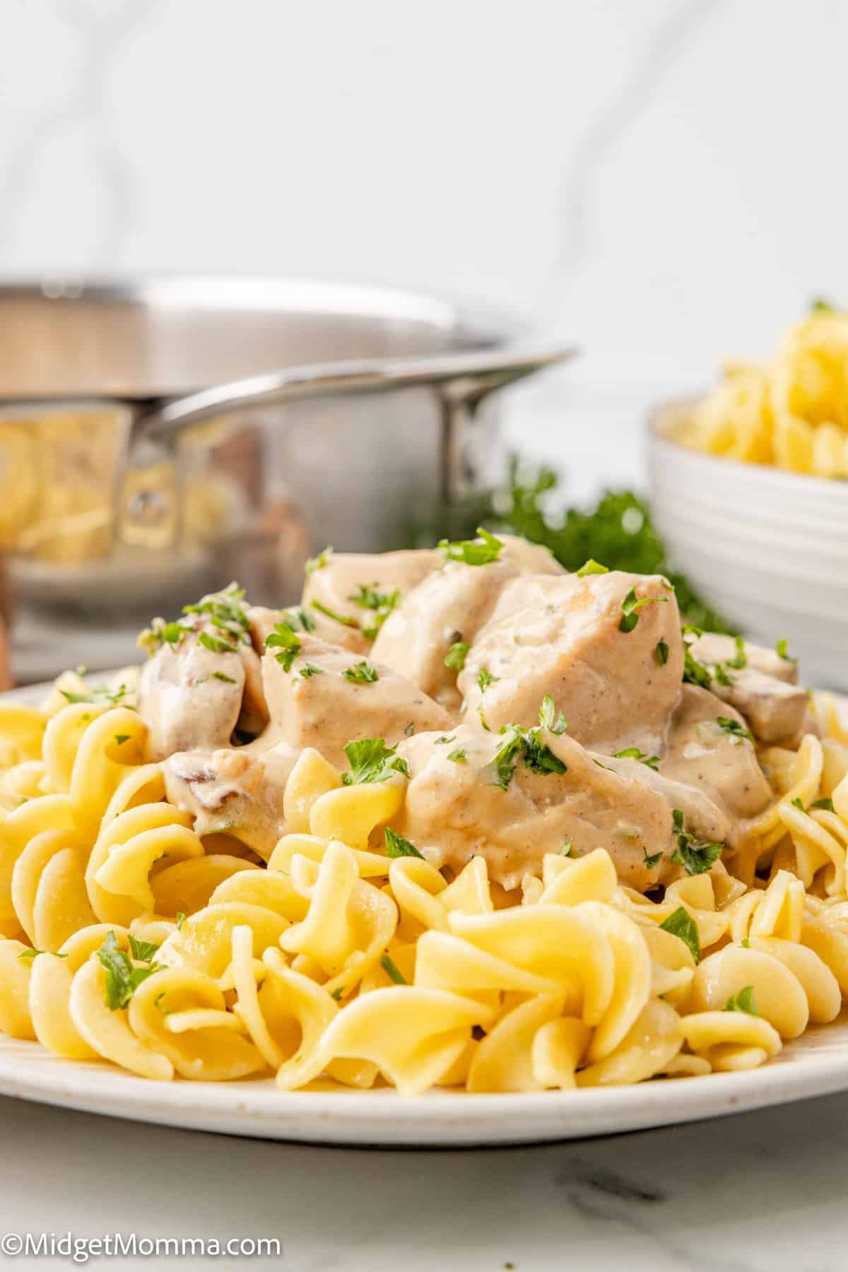 A plate of creamy chicken stroganoff served over pasta, garnished with chopped parsley. A pot and bowl of pasta are visible in the background.