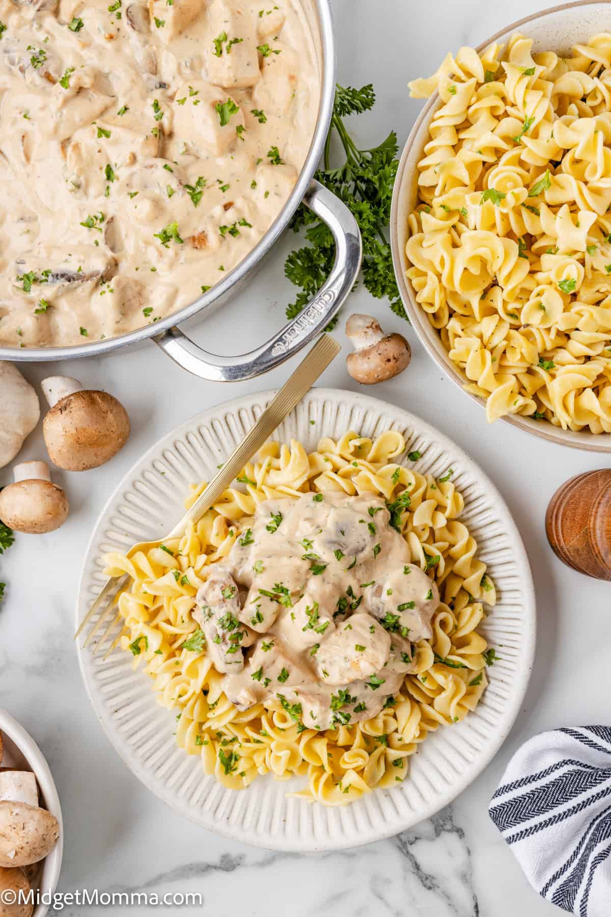 Chicken Stroganoff Recipe