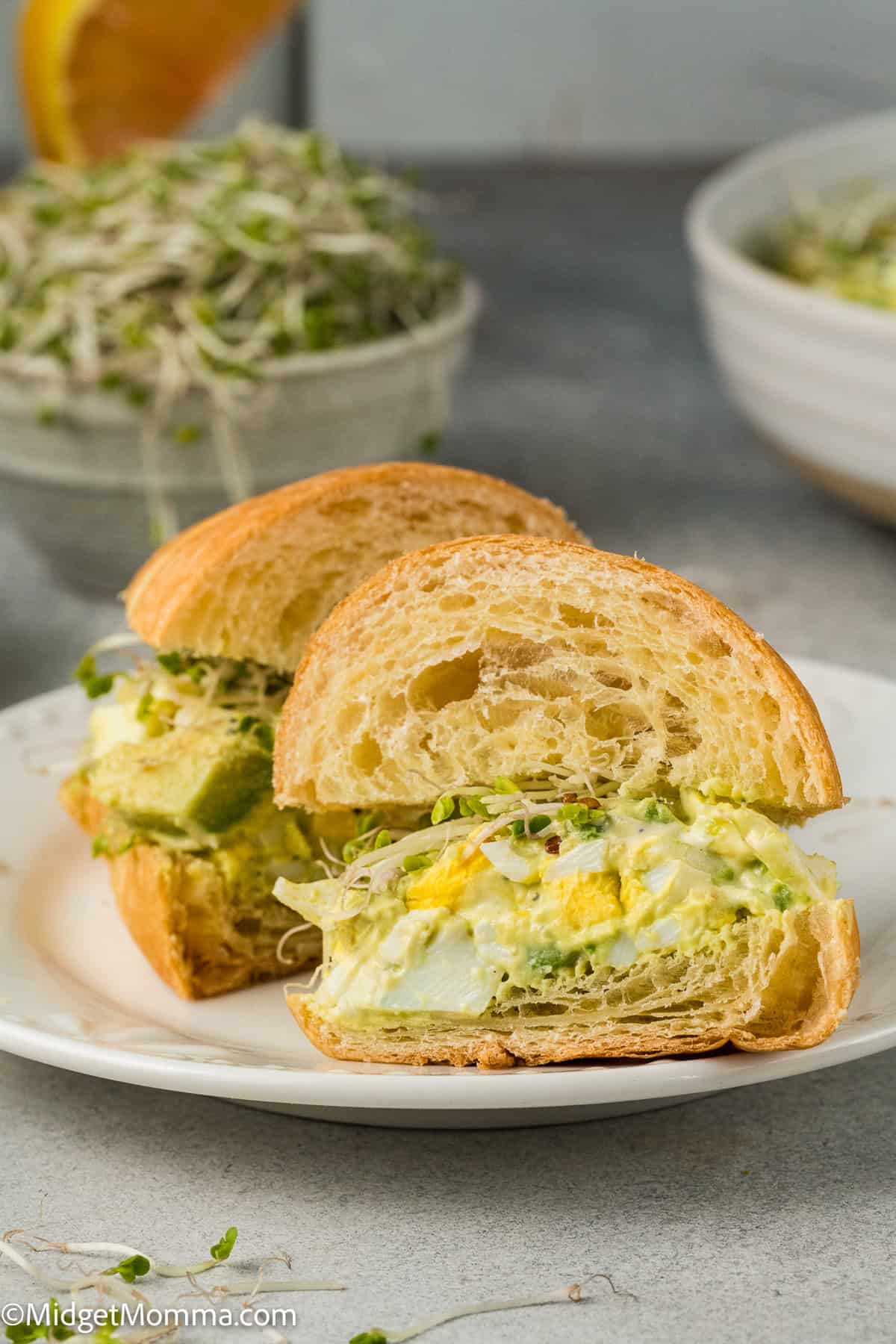 Egg salad sandwich with avocado and sprouts on a white plate, sliced in half. There is a bowl of sprouts in the background.