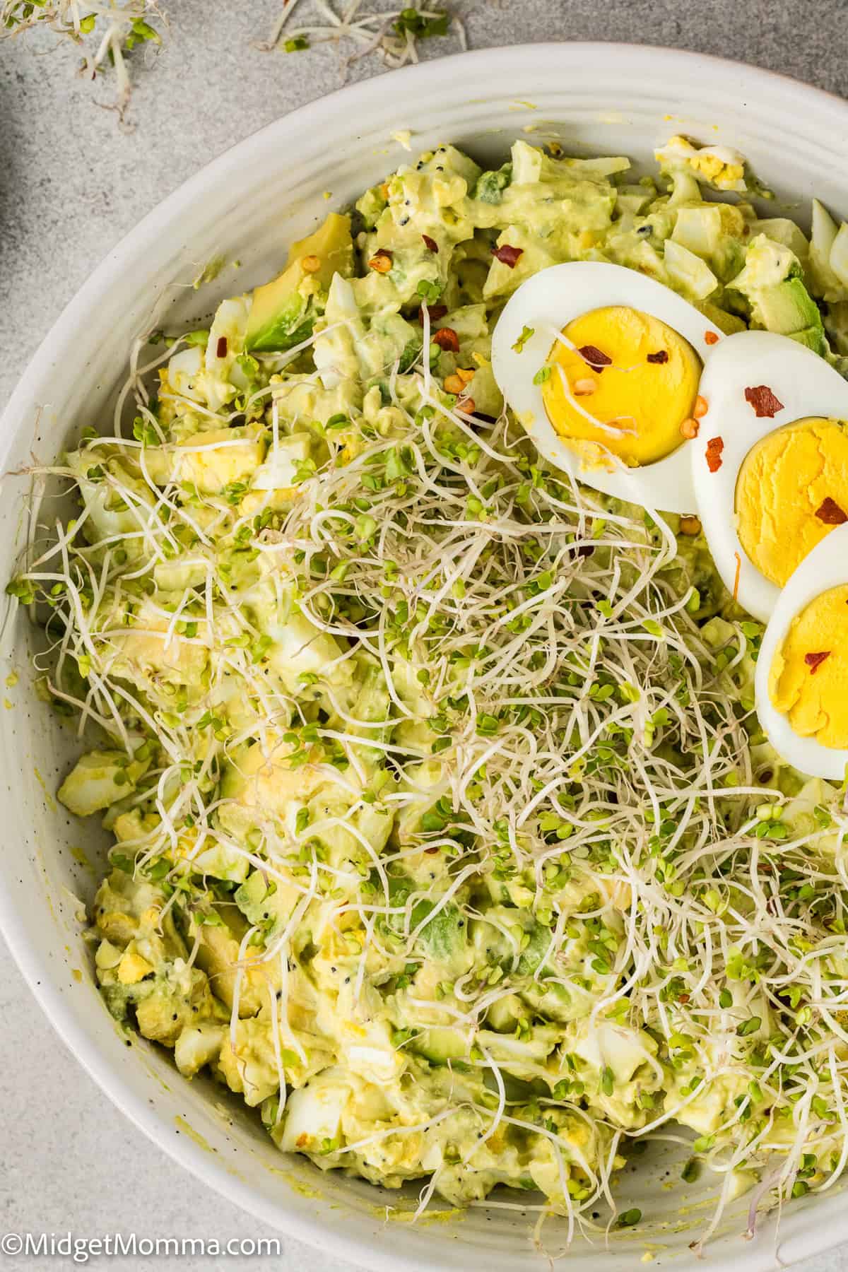 Avocado Egg Salad Recipe